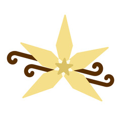 Flat design of vanilla flower vector
