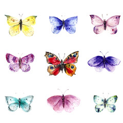 Hand drawn watercolor butterflies.