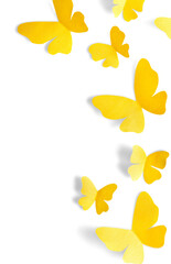Butterflies flying - isolated image