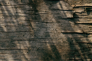 Natural texture. Old dirty wooden surface, wood texture closeup