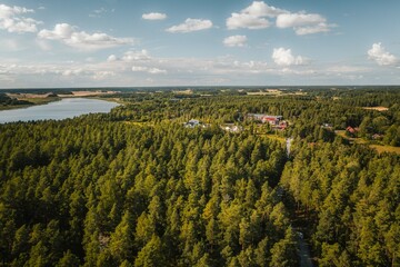 Aerial view of a Swedish forest in summer. Done high view of woods in Sweden on a sunny day 