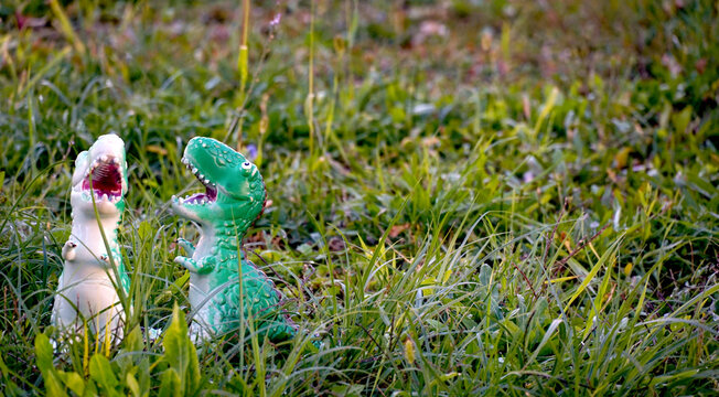 Two plastic dinosaur toys pictured  on a grass at a backyard