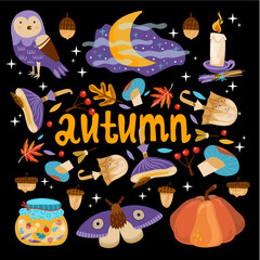 Autumn vector set with owl, leaves, acorns, moths, mushrooms, moon, night, magic, pumpkin, candle, jam, berry. Vector illustration Autumn joy. Background for fabric, wallpaper, design. 