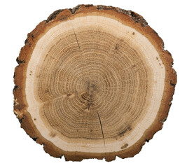 Large circular piece of wood cross-section with colored tree ring - Powered by Adobe