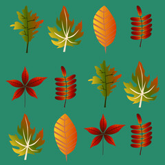 Obraz premium Autumn leaves set, isolated on white background. Simple cartoon flat style. Isolated vector illustration. Design for stickers, logo, web and mobile app.