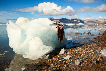 Spitzbergen summer