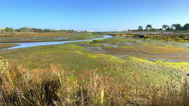 View of the west salt meadows of La Teste de Buch, France at low tide with blue sky