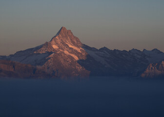 Mount Schreckhorn at sunset, view from Mount Niederhorn.