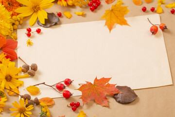autumn flowers and leaves on  paper background