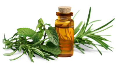 Essential Oil with Rosemary Sprig Isolated