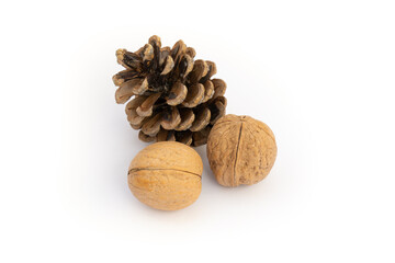 Autumn decoration, walnuts, pine cone, acorn, leaves, white background, isolated