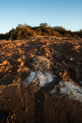 Semi desert environment landcape, La Pampa province, Patagonia, Argentina.