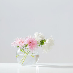 asters in round glass vase on white background