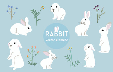cute white rabbit character object with flower