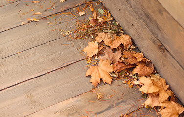 Dry yellow fallen autumn leaves on wooden background, flooring, autumn background with place for text