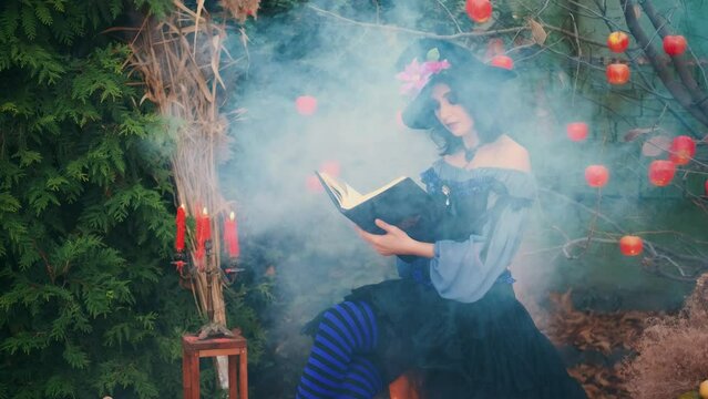 fantasy woman sits, holding book in hands Witch girl reads spell. Candles burning, smoke flowing. Blue purple carnival creative vintage halloween holiday dress, black cone hat. Green tree red apples