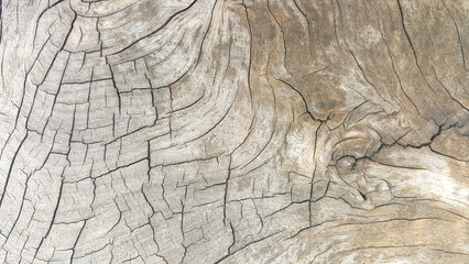 Wood texture, Close up old wood gain or wood pattern use for web design and abstract texture background