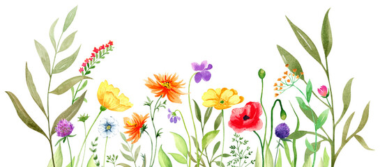 Watercolor spring composition of flowers and grass,  isolated on transparent background