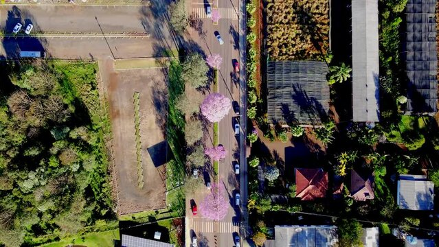 Outubro rosa drone