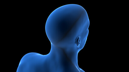 3d rendered illustration of a dark blue male head