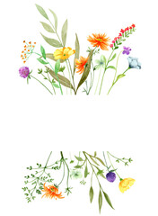 Watercolor spring bouquet of wild flowers, isolated on transparent background