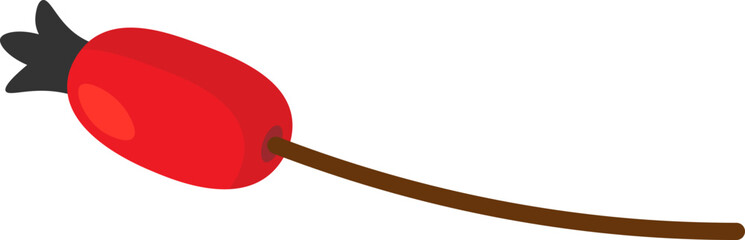 Dog-rose fruit flat icon Winter plants decorations element