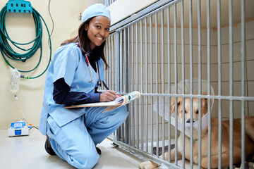 Vet Nurse checking on pup