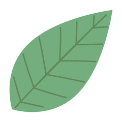 leaf plant foliage