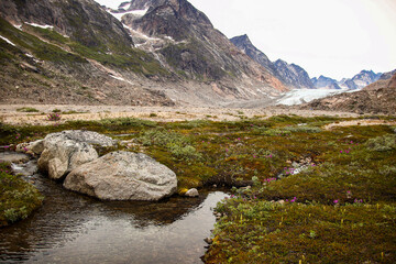 Spitzbergen summer