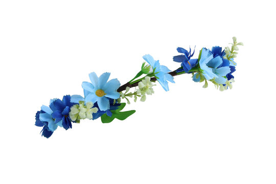 Small Blue Flower Crown Side View isolated on white background with clipping paths