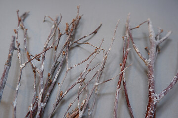 Winter natural concept decoration. Dry flowers and branch background. Winter branches flat composition. simple botanical background.