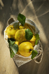 Freshly Harvested Quinces and Grocery Shopping Bag