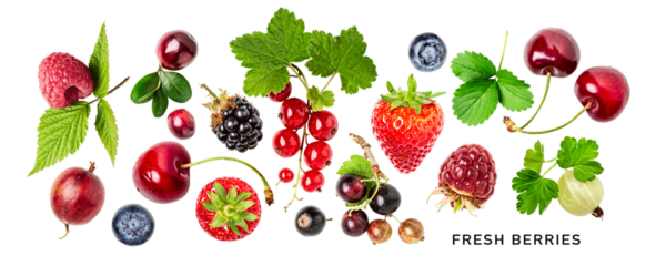 Different berries set. PNG with transparent background. Flat lay.