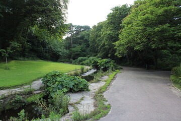 park with a stream of water running through the middle with trees