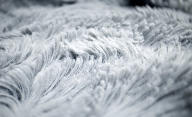 Light grey synthetic fur details. Macro view.