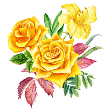 Bouquet with yellow flowers, watercolor botanical illustration, rose