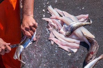 Preparing filet  ocean fish on a cutting table on a ship at the end of fishing