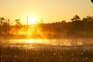 yellow bright sunrise dawn on the swamp. Reflections of trees in lakes. Sunset, warm light and fog....