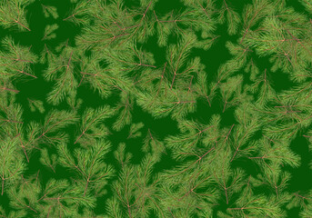 Green spruce branches as a textured background. Green spruce, pine