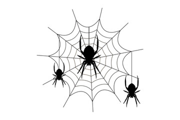 Spider web. Hand drawn cobweb. Spooky Halloween vector illustration