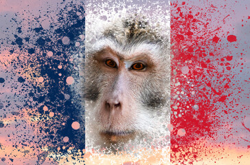 A new outbreak of viral infection at France, monkeypox. Closeup of monkey head on the background of...