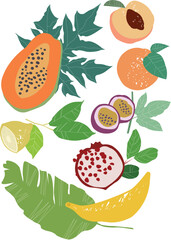 Fruit set: peach, banana, pomegranate, lemon, orange, passion fruit, papaya. Fruits with leaves