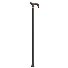 3d rendering illustration of a walking stick