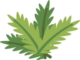 Christmas element flat icon Evergreen conifer branch