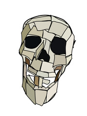 skull