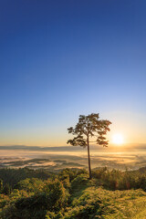 羽後町、みはらし荘からの雲海と朝日