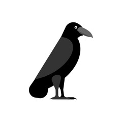 Black Raven isolated. Black crow symbol of death