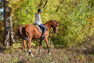 Beautiful equestrian girl ride horseback in autumn forest
