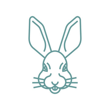 Hare face isolated. rabbit muzzle Vector illustration