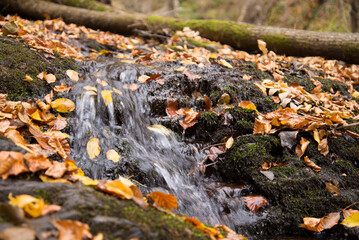 Waterfall in autumn forest